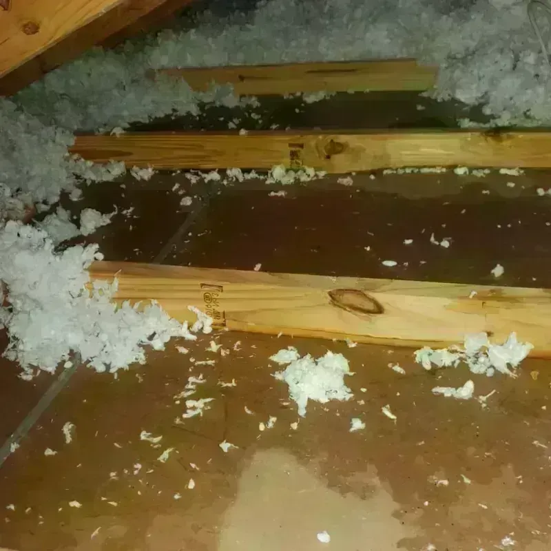 Attic Water Damage in Shinglehouse, PA